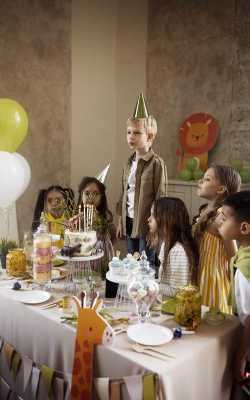 Birthday Party Birthday Party