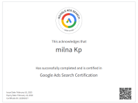Google Ads search certification